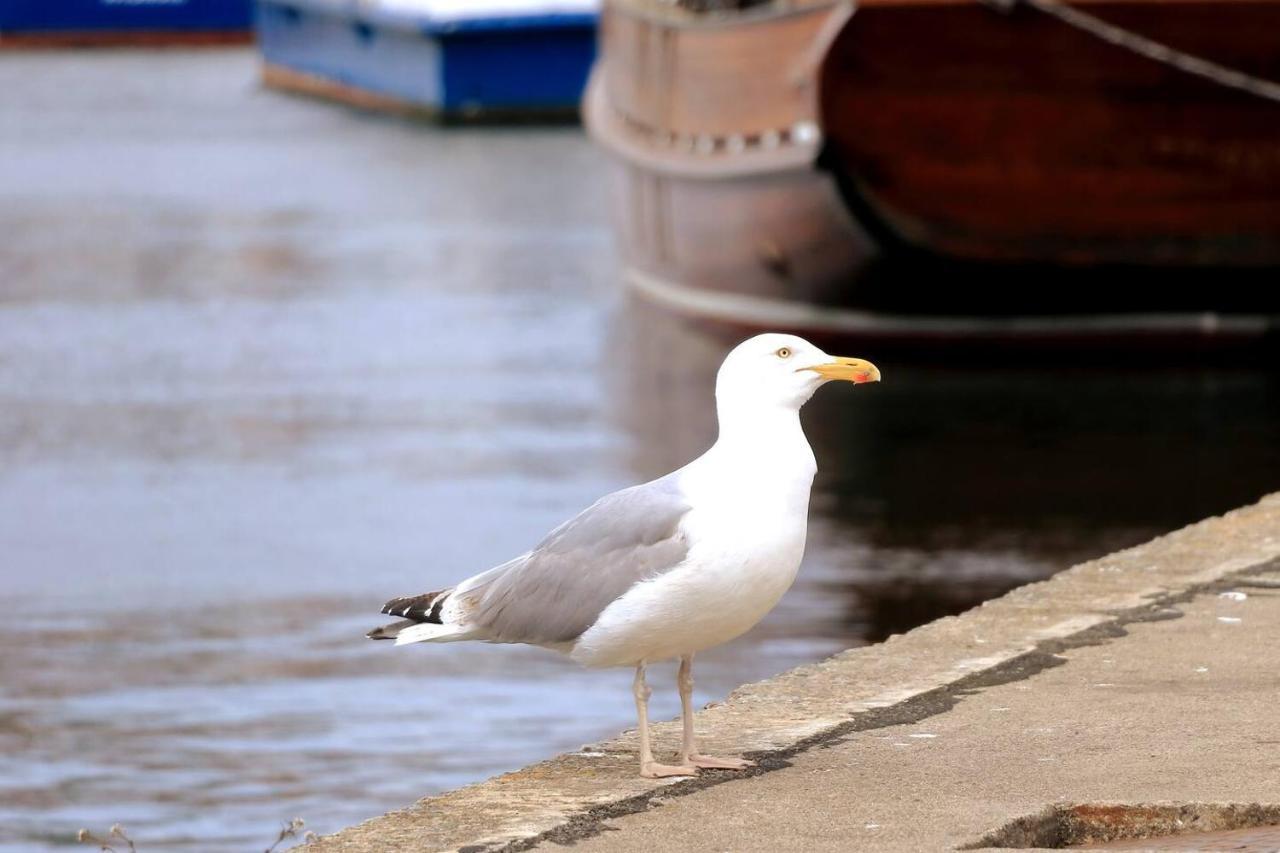 Cblue: Kuestenzauber Barrierefrei Mit Balkon Heiligenhafen Buitenkant foto